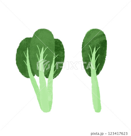 小松菜の手描きカラーイラストセット 123417623