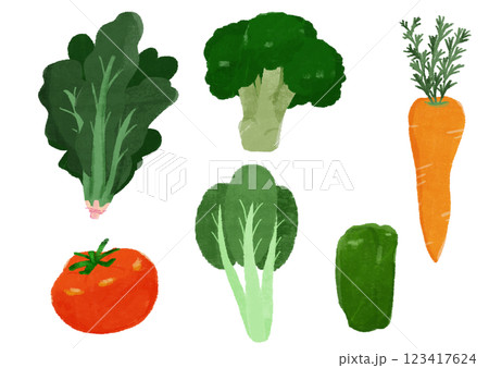 緑黄色野菜の手描きカラーイラストセット 緑黄色野菜の手描きカラーイラストセット 123417624