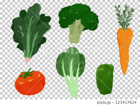 手繪彩色插圖集綠色和黃色蔬菜 手繪彩色插圖集綠色和黃色蔬菜 123417624