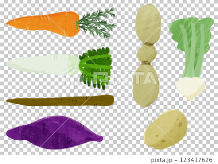 根菜類の手描きカラーイラストセット 123417626
