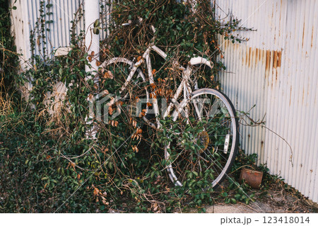 [明日香村]錆びれた自転車 123418014