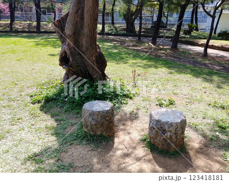 沖縄 那覇市松山公園18 沖縄 那覇市松山公園18 123418181