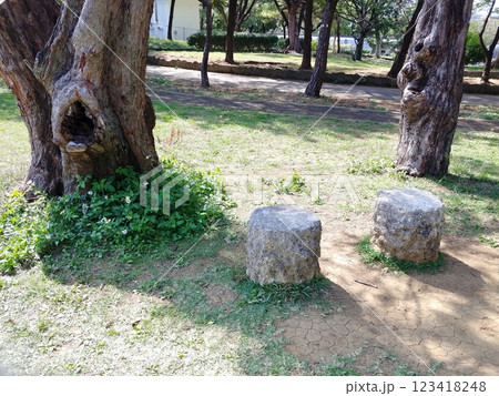 沖縄　那覇市松山公園19 123418248