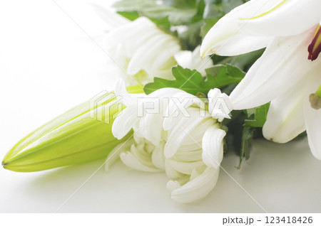 葬儀に献花する菊とユリの生花 123418426