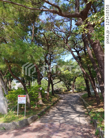 沖縄　那覇市松山公園21 123418558