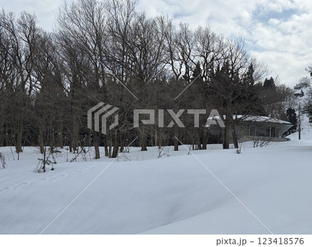 冬の猿倉山の山中の風景(富山県 富山市) 冬の猿倉山の山中の風景(富山県 富山市) 123418576