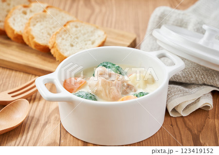 クリームシチュー - 温かい家庭料理のイメージ クリームシチュー - 温かい家庭料理のイメージ 123419152