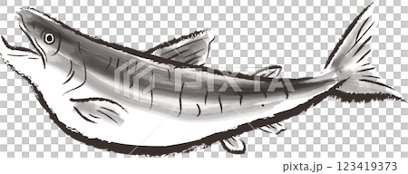 Salmon illustration in sumi-e style 123419373