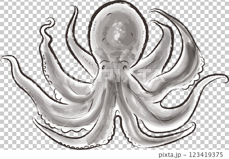 Octopus illustration in ink painting style 123419375