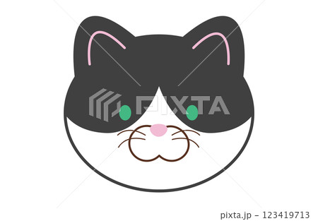 ハチワレの猫の顔 ハチワレの猫の顔 123419713