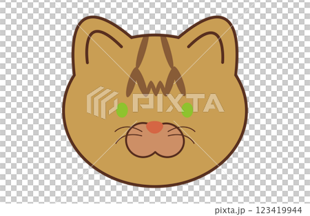 Light brown cat face Light brown cat face 123419944