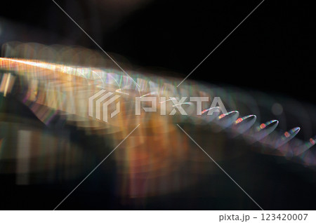 朝陽を浴びて虹色に輝く蜘蛛の巣 クローズアップ 朝陽を浴びて虹色に輝く蜘蛛の巣 クローズアップ 123420007