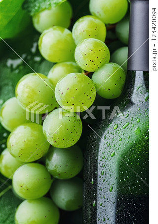A close-up view of a green wine bottle surrounded by fresh green grapes nestled in lush foliage A close-up view of a green wine bottle surrounded by fresh green grapes nestled in lush foliage 123420094