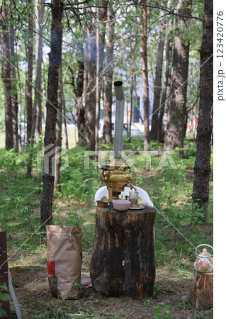 Rustic Cooking Setup Located Within a Serene and Peaceful Forest Environment for Enjoyment 123420776