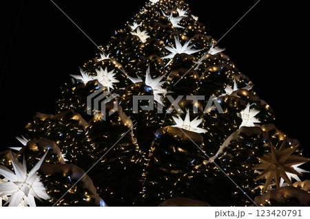 Behold the Stunning Nighttime Christmas Tree adorned with Glowing Stars that shine brightly 123420791