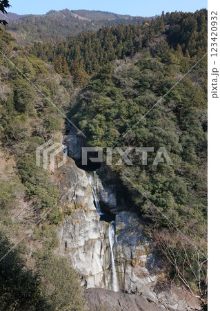 轟の滝(高知県香美市)(冬) 轟の滝(高知県香美市)(冬) 123420932