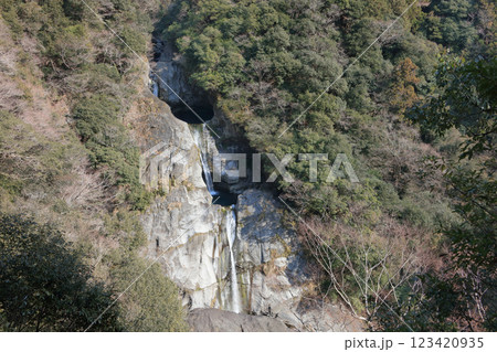 轟の滝(高知県香美市)(冬) 轟の滝(高知県香美市)(冬) 123420935