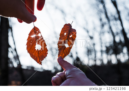 ,落葉の顔 123421198