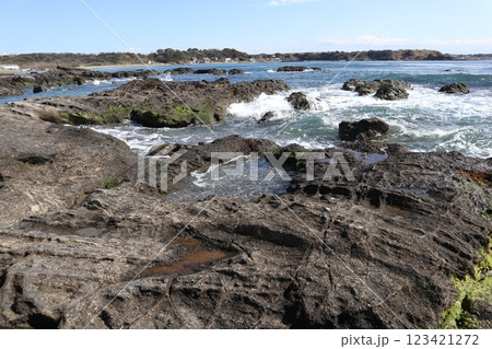 三崎口 荒崎・潮騒のみち 三崎口 荒崎・潮騒のみち 123421272