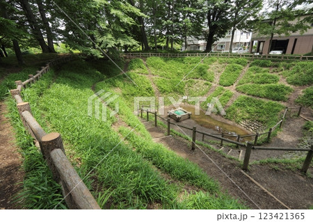 青梅新町の大井戸 123421365