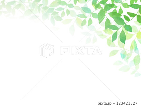 新緑の葉が茂る 123421527