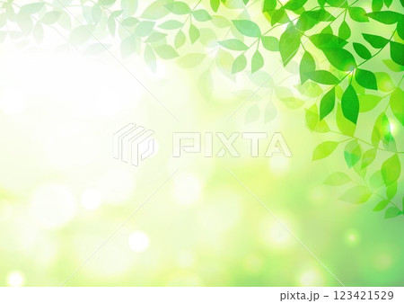 新緑の葉が茂る 123421529