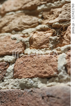 A closeup of a textured brick wall, highlighting various natural elements within 123421760