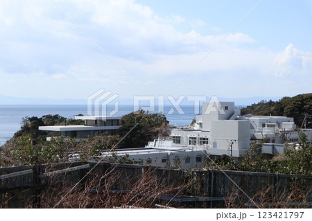 三浦半島　ソレイユの丘 123421797