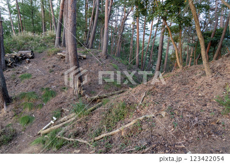 林小城跡 主郭背後の大堀切 林小城跡 主郭背後の大堀切 123422054
