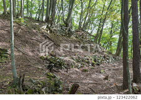 桐原城 2郭跡周囲の石垣 桐原城 2郭跡周囲の石垣 123422062