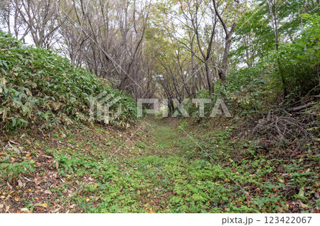 北熊井城　本城跡の空堀と土塁 123422067