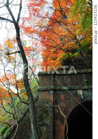 愛岐トンネル群の紅葉 愛岐トンネル群の紅葉 123423136