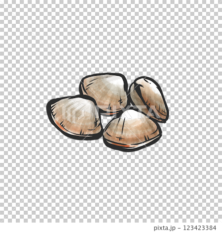 バカガイの手描き筆絵風イラスト 123423384