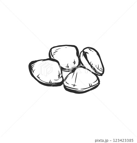 バカガイの手描き筆絵風イラスト 123423385