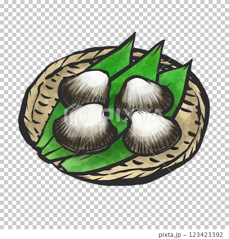 赤貝の手描き筆絵風イラスト 123423392