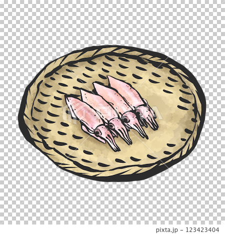 Firefly squid hand-drawn illustration 123423404