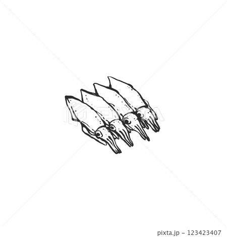 ホタルイカの手描き筆絵風イラスト 123423407