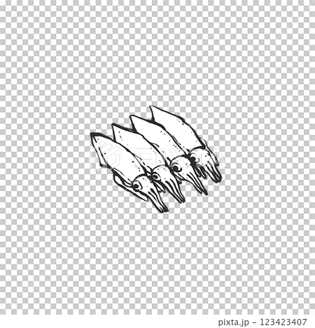 ホタルイカの手描き筆絵風イラスト 123423407