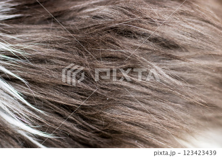 This image showcases a closeup view of an individual s hair texture, 123423439