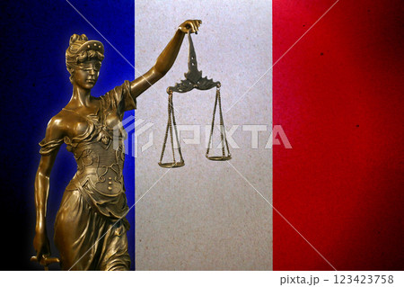 Lady Justice before a flag of France Lady Justice before a flag of France 123423758