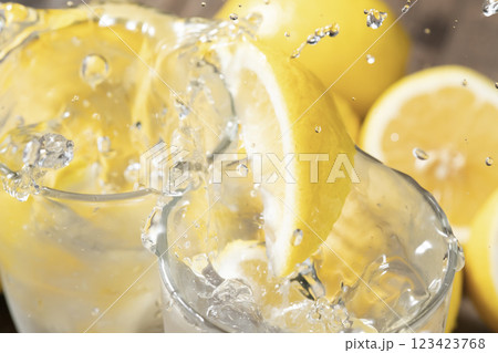 レモンサワー 123423768
