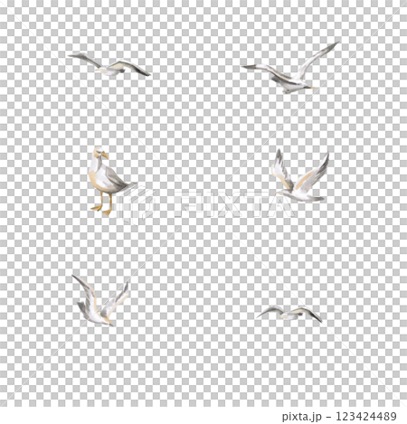 Seagulls set. Isolated watercolor illustration of birds for design of seaside cafes, printing on fabric, travel blogs, design of tourist brochures. Seagulls set. Isolated watercolor illustration of birds for design of seaside cafes, printing on fabric, travel blogs, design of tourist brochures. 123424489