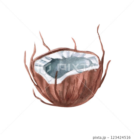 Half of coconut. Isolated watercolor illustration in realistic style for design of tourist brochures, cosmetics, travel blogs, printing on fabric. 123424516