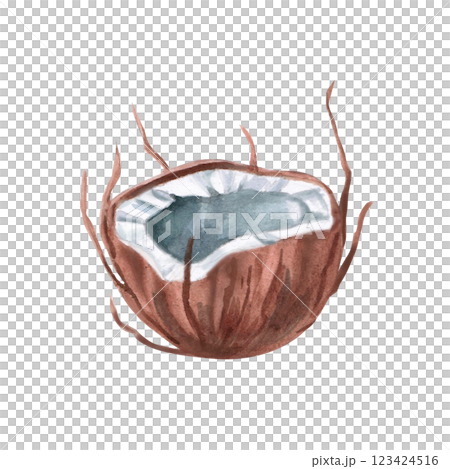 Half of coconut. Isolated watercolor illustration in realistic style for design of tourist brochures, cosmetics, travel blogs, printing on fabric. 123424516