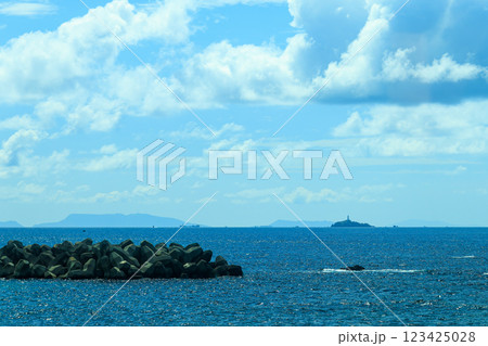 伊豆半島の最南端、下田駅から出発する東海バス。 南伊豆の海岸線を走り、中木へと至る。 賀茂郡南伊豆 123425028