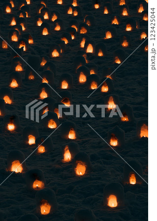 横手の雪まつり 123425044