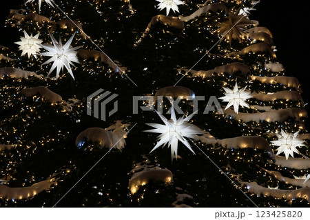 A Stunningly Beautiful Night View of a Dazzlingly Colorful and Festive Christmas Tree Display A Stunningly Beautiful Night View of a Dazzlingly Colorful and Festive Christmas Tree Display 123425820