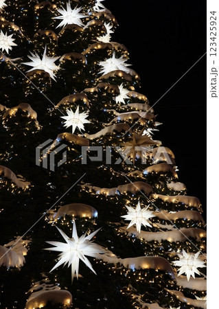 Enhance your space with elegant holiday decor, sparkling stars, and twinkling lights Enhance your space with elegant holiday decor, sparkling stars, and twinkling lights 123425924