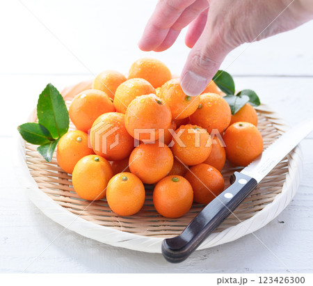 宮崎県産 きんかん （ 白背景 ） 123426300