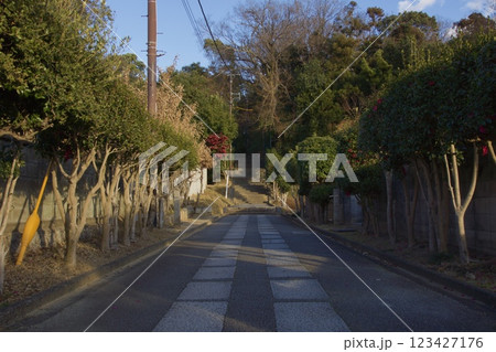 倉敷の風景　鶴形山　冬 123427176